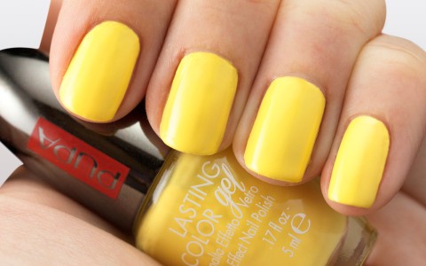 Lasting Color Gel - PUPA Milano