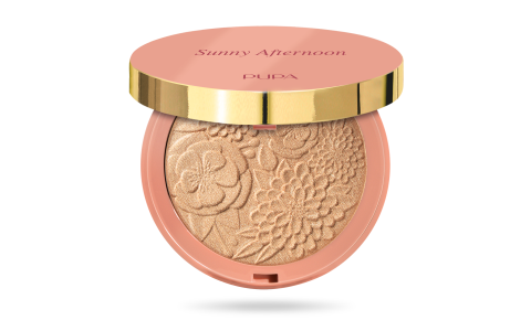 Sunny Afternoon Highlighter