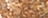 240091551-TRUE GOLD