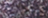 240091330-PAERLY VIOLET
