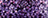 301-FESTIVAL VIOLET 301-FESTIVAL VIOLET